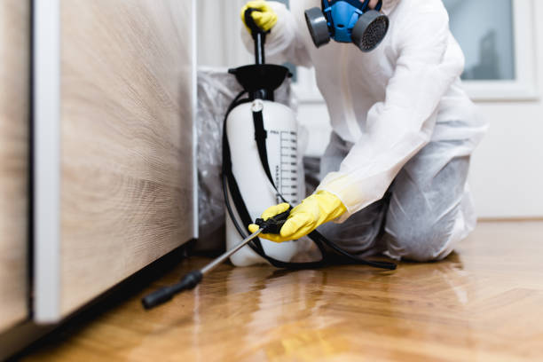 Best Termite Control Services  in Commerce, GA