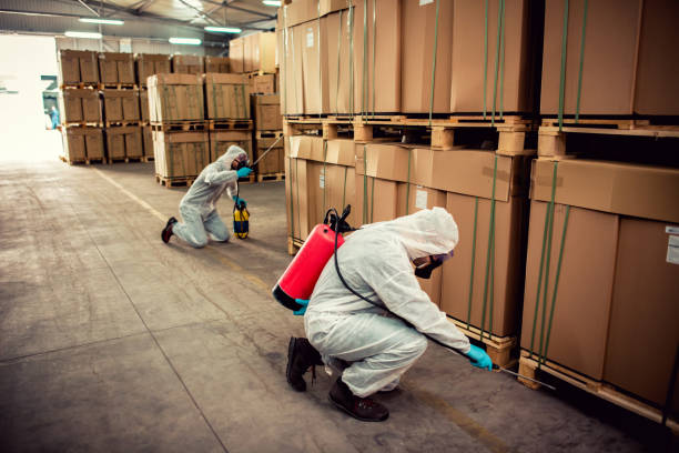 Best Flea Control Services  in Commerce, GA