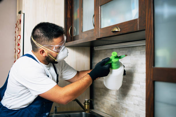 Best Commercial Pest Control Services  in Commerce, GA