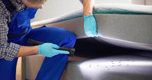 Best Pest Control Near Me in Commerce, GA