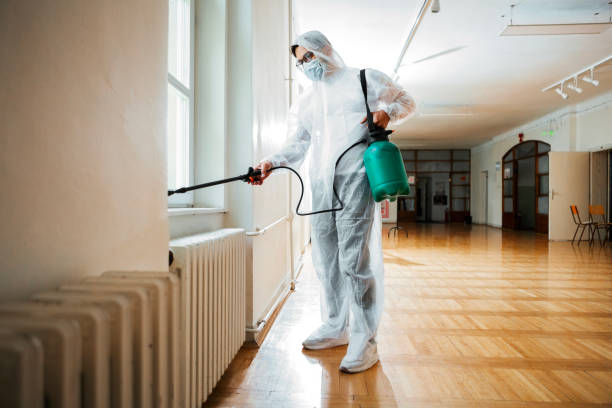 Best Local Pest Control Services  in Commerce, GA