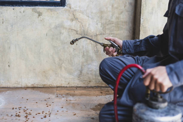 Best Mosquito Control Services  in Commerce, GA