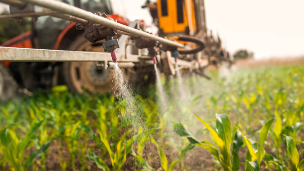 Best Commercial Pest Control Services  in Commerce, GA